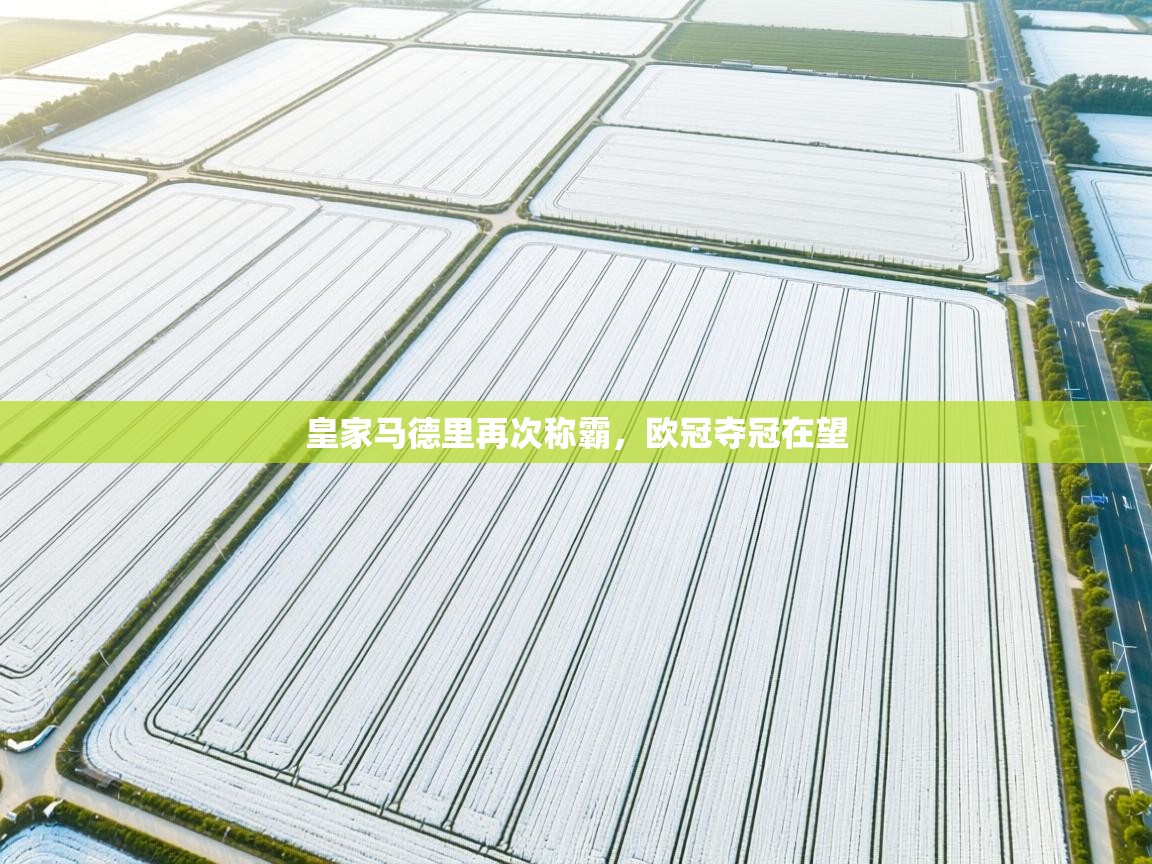 皇家马德里再次称霸，欧冠夺冠在望  第2张