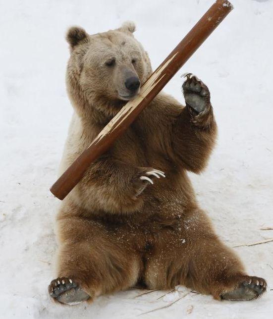 爱游戏app下载-俄罗斯熊猛击，锁定强入场券的简单介绍